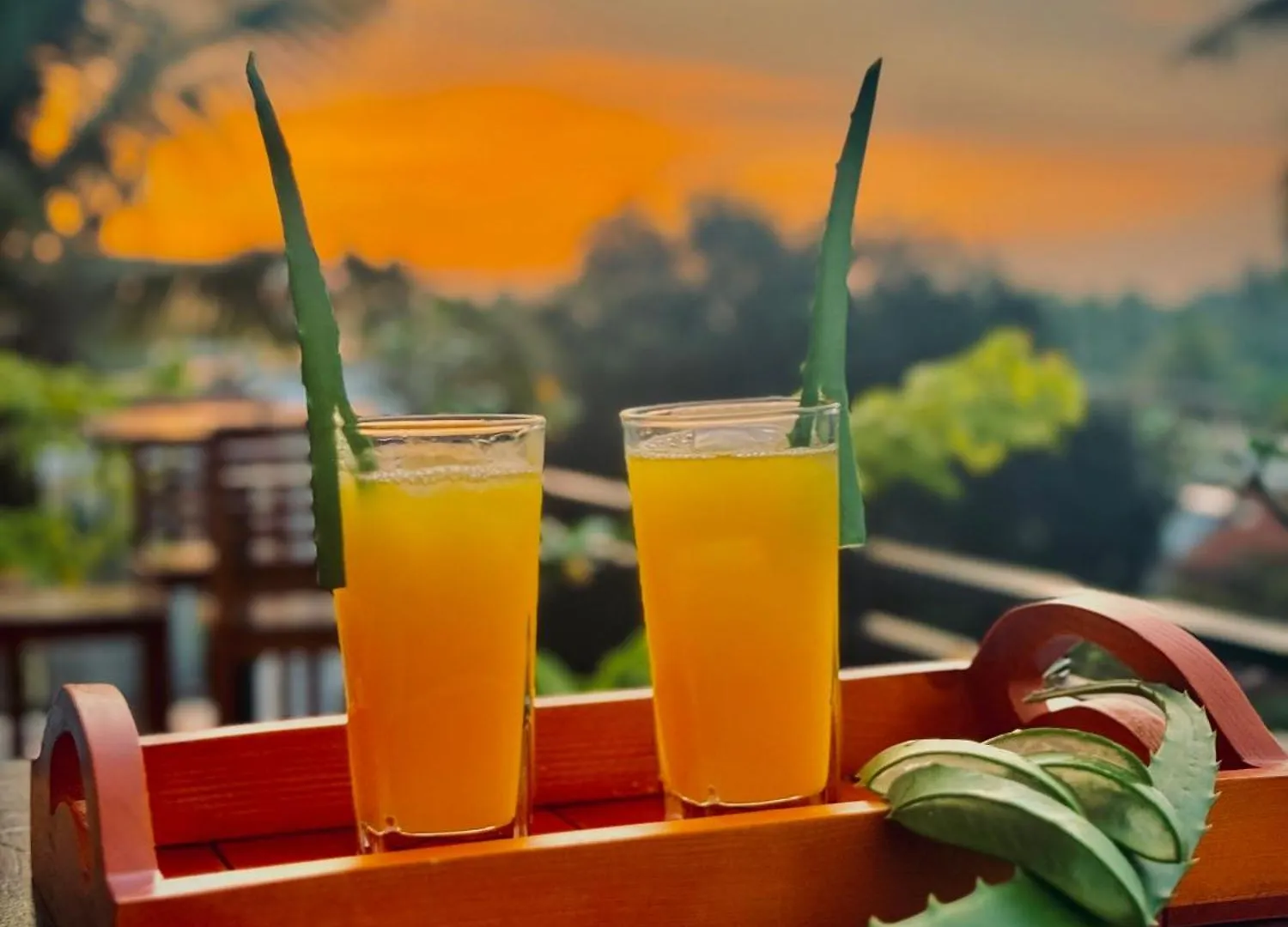 Aloe Transit Hotel Katunayake