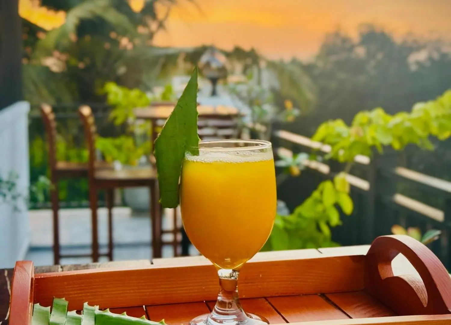 Aloe Transit Hotel Katunayake