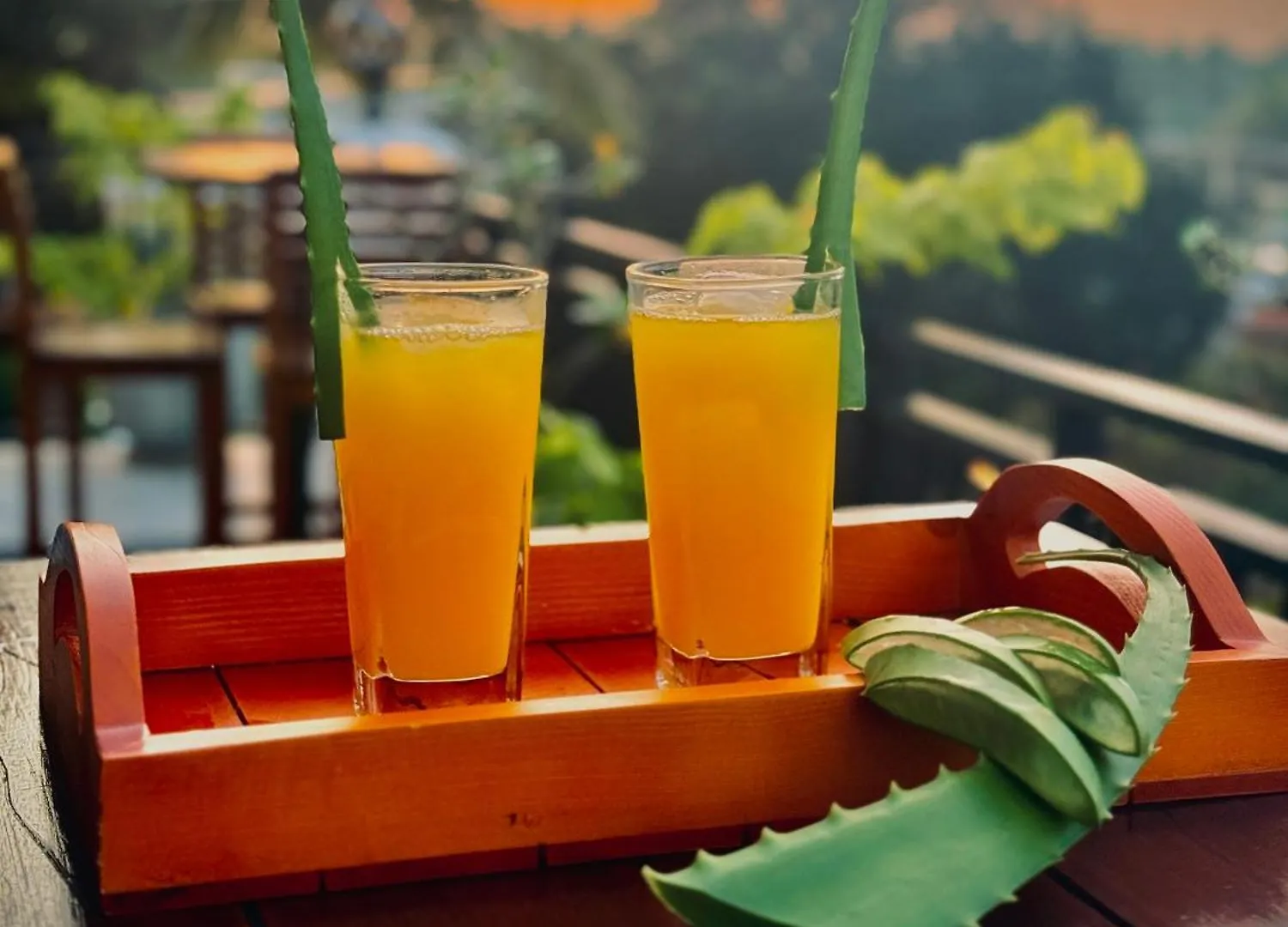 Aloe Transit Hotel Katunayake Sri Lanka